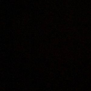 Meet your Posher, Travis